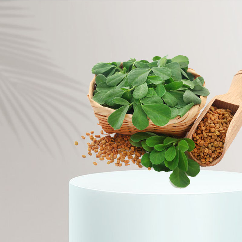 Fenugreek